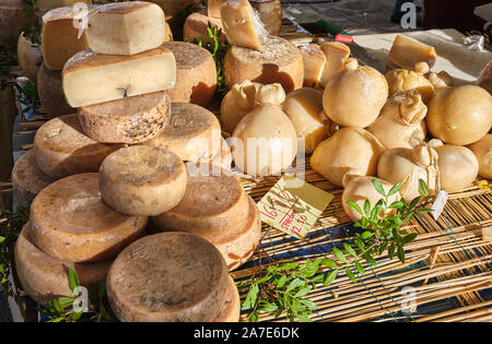 Casu marzu, sardische Käse mit Larven von Piophila Casei Stockfoto