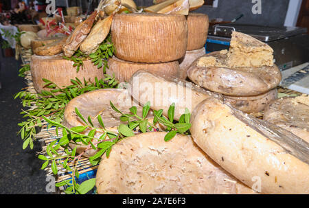 Casu marzu, sardische Käse mit Larven von Piophila Casei Stockfoto