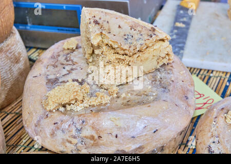 Casu marzu, sardische Käse mit Larven von Piophila Casei Stockfoto