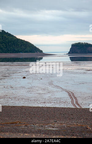 Spuren führen durch Schlamm bei Ebbe in der Nähe einer Insel im Atlantischen Ozean Stockfoto