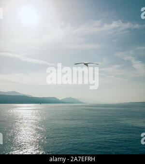 Ruhe in der Adria, eine Möwe das Fliegen und die Sonne spiegelt sich in der Meeresoberfläche über die Berge und die Küste Stadt Stockfoto