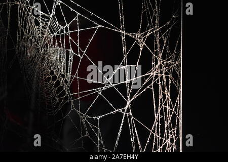 Komplizierte, Staubige Spinnennetz, Die Vor Dunklem Hintergrund Leuchtet Stockfoto