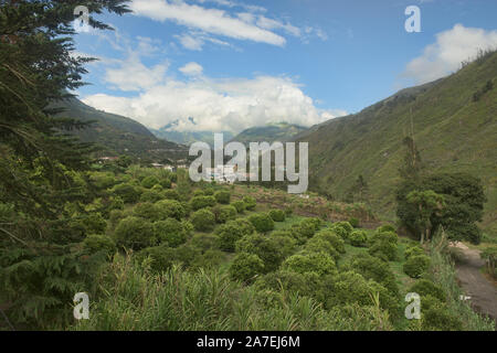 Grüne Kulturlandschaft, Baños de Agua Santa, Ecuador Stockfoto