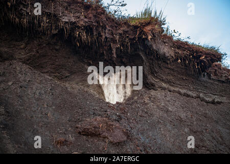 Freiliegende arctic Permafrost am Rande der Tundra Cliffside als es in Kotzebue Sound erodiert, in Alaska Arktis. Stockfoto