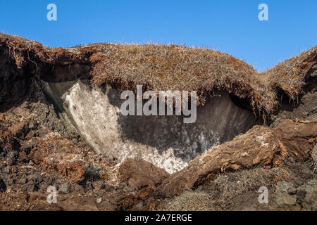 Freiliegende arctic Permafrost am Rande der Tundra Cliffside als es in Kotzebue Sound erodiert, in Alaska Arktis. Stockfoto