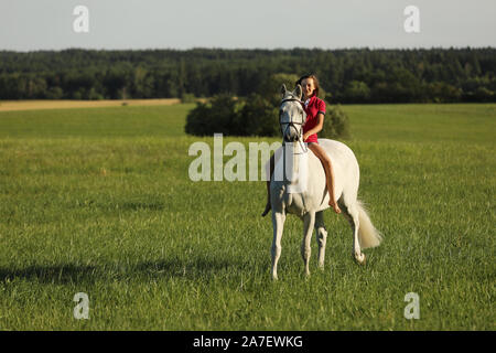 Junge Mädchen auf roan Pferd, zu Fuß auf der Wiese am späten Nachmittag ohne Sattel Stockfoto