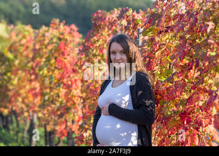 Schwangere Frau zwischen einer Reihe von Weinreben im Herbst Stockfoto