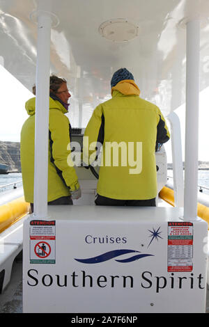 Southern Spirit Walbeobachtung rib Boot auf einer Reise für Touristen. Patagonien, Halbinsel Valdes. Stockfoto