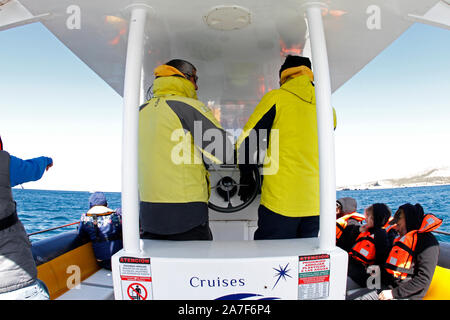 Southern Spirit Walbeobachtung rib Boot auf einer Reise für Touristen. Patagonien, Halbinsel Valdes. Stockfoto