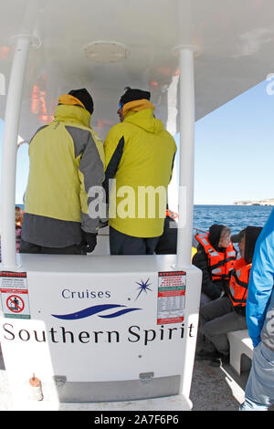 Southern Spirit Walbeobachtung rib Boot auf einer Reise für Touristen. Patagonien, Halbinsel Valdes. Stockfoto