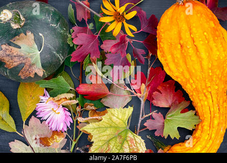 Herbst noch leben. Kürbisse, Herbst Blätter und Blüten auf der Tafel. Close-up Stockfoto