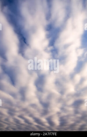 Stratocumulus Wolken bilden eine wellenförmige Muster in den Himmel Stockfoto