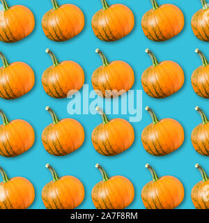 Geometrische Anordnung von orange Kürbisse auf Türkisfarbenem Hintergrund, bunte Gemüse Textur, vegane Ernährung, Herbst Halloween Hintergrund Stockfoto