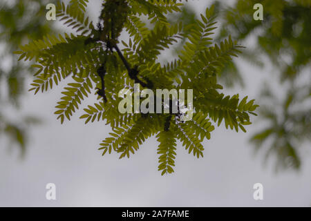 Natur Städte noch schöner Stockfoto