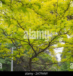 Natur Städte noch schöner Stockfoto