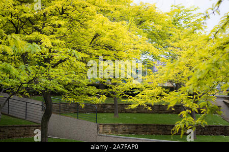 Natur Städte noch schöner Stockfoto