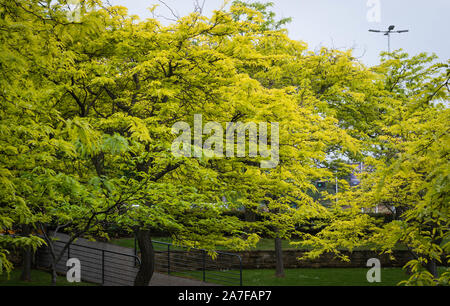 Natur Städte noch schöner Stockfoto