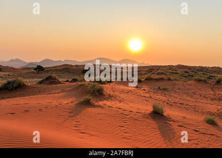 Sonnenuntergang in der namibischen Wüste, Afrika Stockfoto