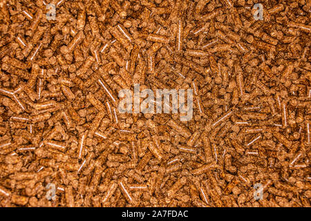 Close-up von Holzpellets zur Verwendung in einer Biomasse Herd gespeichert Stockfoto