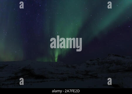 Das Nordlicht, Aurora Borealis, gesehen ordentlich Tromsö in Nordnorwegen Stockfoto