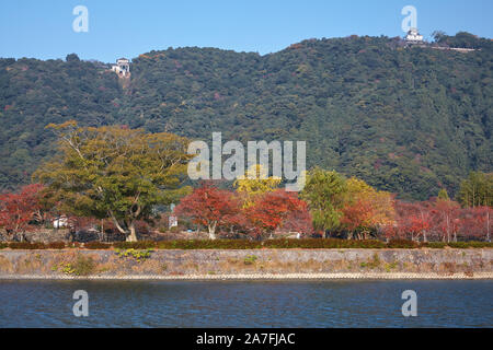 Die farbigen Blätter Japanischer Ahorn (momiji) am Ufer des Flusses Nishiki im Herbst. Iwakuni. Japan Stockfoto