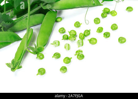 Frische grüne Erbsen Hülsen und grünen Erbsen mit Sprossen auf weißem Hintergrund in Nahaufnahme Stockfoto