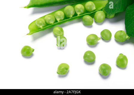 Frische grüne Erbsen Hülsen und grünen Erbsen mit Sprossen auf weißem Hintergrund in Nahaufnahme Stockfoto