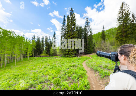 Snodgrass Trail Wald Fotografin Sie Bilder mit der Kamera in Mount Crested Butte, Colorado im Nationalpark Berge im Sommer Stockfoto