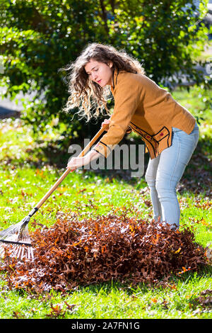 Junge Frau Mädchen im Hinterhof arbeiten harken Sammeln von trockenen Herbst Laub Eichenlaub mit grünem Rasen Stockfoto