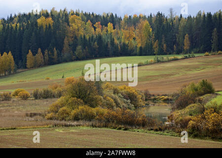 Eine herbstliche Landschaft mit gelben Bäume und Sträucher. Ein kleiner Fluss fließt leise zwischen den Feldern Stockfoto