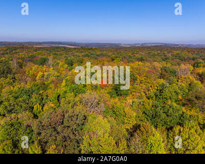 Schön grün, orange und rot Herbst Wald in Deutschland von oben im Herbst in der Morgen Stockfoto