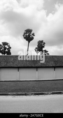 Dass inghang stupa Tempel Laos Architektur wand Gras schwarz weiß Stockfoto