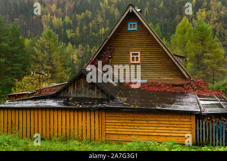 Rustikale Holzhaus mit überdachter Innenhof im Regen vor dem Hintergrund der Herbst Wald Stockfoto