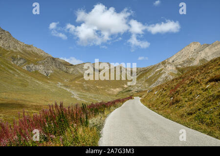 Malerischer Blick auf eine alpine Landschaft mit einem Berg Straße zwischen Wiesen und Weiden, die zu Colle dell'Agnello Pass im Spätsommer, Chianale, Piemont, Italien Stockfoto