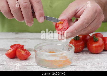 Solanum Lycopersicum. Speichern tomatensamen von Ausportioniertem Samen in Wasser ihre Beschichtung zu entfernen, bevor sie trocknen und lagern. Stockfoto