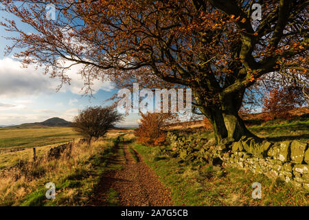 Ein Wanderweg führt entlang der Seite des Osten Lomond Hügel in Richtung Westen Lomond Hill in der Grafschaft Fife, Schottland, UK suchen Stockfoto