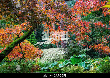 Herbst Szene alle die schönen angezeigt; Farben wie Rot und Orange vor, die Stockfoto