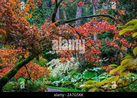 Herbst Szene alle die schönen angezeigt; Farben wie Rot und Orange vor, die Stockfoto