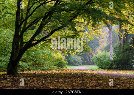 Weg durch den Herbstwald in Westonburt Arboretum - The National Arboretum, Gloucestershire, England, Großbritannien Stockfoto