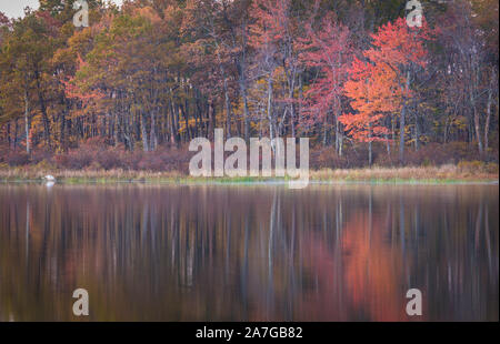 Lebendige Herbst Laub spiegelt sich ruhig und friedlich Steenykill See in High Point State Park, NJ Stockfoto