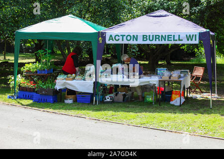 Ein Bild in einer Reihe von 14, jeweils für die jährliche Acton Burnell Dorffest. Alle Profite zu St Mary's Church in Acton Burnell. Stockfoto