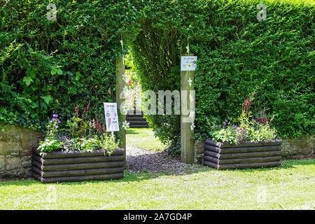 Ein Bild in einer Reihe von 14, jeweils für die jährliche Acton Burnell Dorffest. Alle Profite zu St Mary's Church in Acton Burnell. Stockfoto