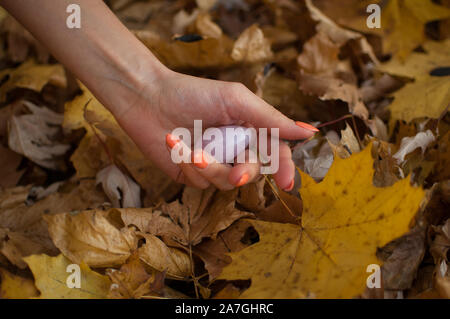 Weibliche hand mit orange Maniküre Holding rosa Quarz yoni Ei für vumfit, imbuilding oder Meditation auf gelbem Hintergrund Laub im Herbst Stockfoto