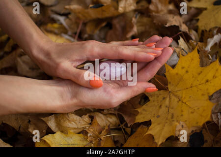 Weibliche hand mit orange Maniküre Holding rosa Quarz yoni Ei für vumfit, imbuilding oder Meditation auf gelbem Hintergrund Laub im Herbst Stockfoto