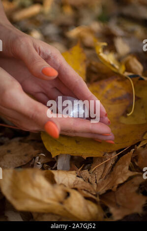 Weibliche hand mit orange Maniküre Holding transparent violett Amethyst yoni Ei für vumfit, imbuilding oder Meditation auf gelbem Laub Hintergrund Stockfoto