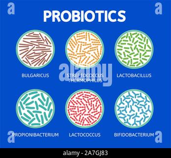 Vektor abstrakte Bakteriologie Symbole auf dem blauen Hintergrund isoliert. bulgaricus und Streptococcus thermophilus, Lactobacillus, propionibacterium, lactococcus Stock Vektor