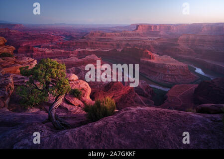 Dead Horse Point, Canyonlands, Utah, USA. Die orange Stein in der Wüste bekommt Lila unter der kalten Licht nach Sonnenuntergang. Blick auf den Colorado River. Stockfoto