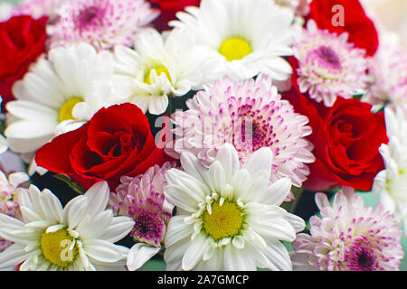 Schöne rote Rosen und zarte Chrysanthemen in Mint hat. Das ursprüngliche Design der Blumenstrauß. Stockfoto