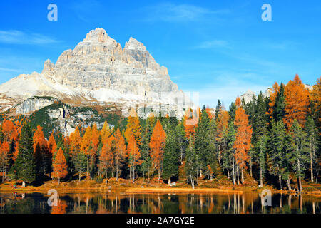 Drei Zinnen (Tre Cime di Lavaredo) (Drei Zinnen), sind drei der berühmtesten Gipfel der Dolomiten, in den Sextner Dolomiten, Italien, Europa Stockfoto
