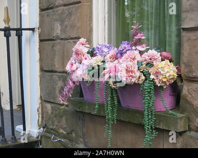 Pflanzmaschinen mit lila Blüten in Pastelltönen gefüllt Verschönern einer Fensterbank auf ein altes steinernes Gebäude im Zentrum von Belfast. Stockfoto